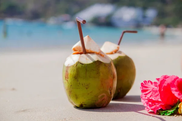 코코넛 칵테일 — 스톡 사진