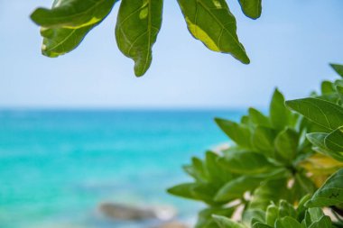 Yaz tatil arka plan. Seyahat ve plaj tatil metinler için boş alan. Yaz konsepti.