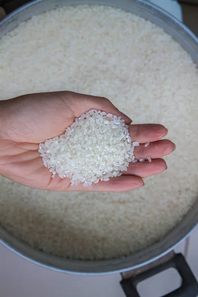 Hands Rice Close How Choose Rice — Stock Photo, Image