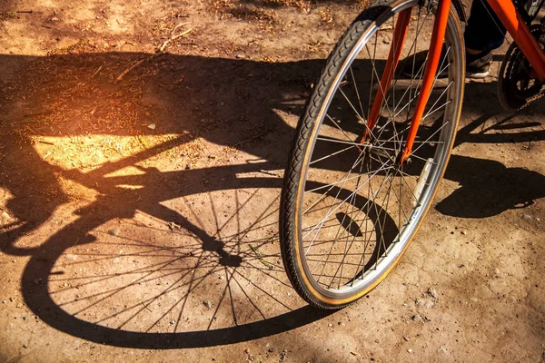 Bicicleta Ciclista Equitação Nascer Sol Estilo Vida Saudável Atleta Ativo — Fotografia de Stock