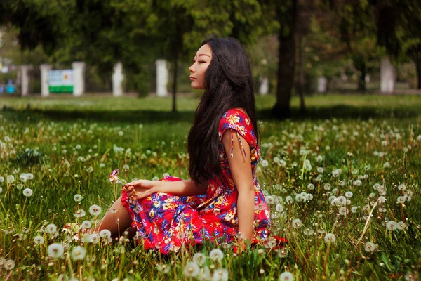 一个阳光明媚的日子 年轻快乐的亚洲女人在田里拿着蒲公英 — 图库照片
