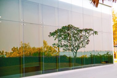 Büyük bir pencere üzerinde güzel bir doğal manzara yansıması.