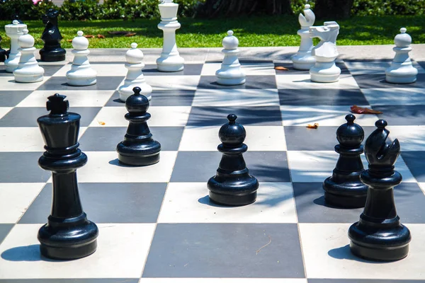 Figures for game in chess on the nature.