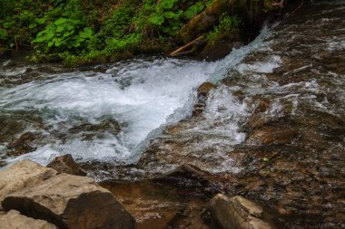 Ukrayna 'nın batısında dağlarda güzel şelale.