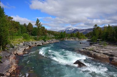 güzel manzara, yaz orman, yeşil ağaçlar ve mavi gökyüzü arka planda dağ nehri.