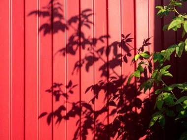 Kırmızı demir çit ve yakındaki ağaçların gölgesi. Soyut sonbahar arka planı.