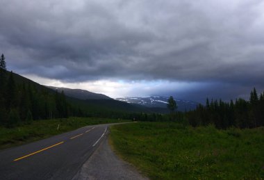 Dağlarda bahar peyzaj. Güneş Ladin ormanda. Karpatlar, Ukrayna, Europe