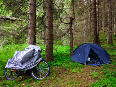 Yeşil orman kampı çadırda turizm.