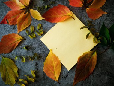 kalp şekli ve akçaağaç beyaz arka plan üzerinde bırakın ile aşk sonbahar dectoration. sonbahar öğeleri ile tamir.