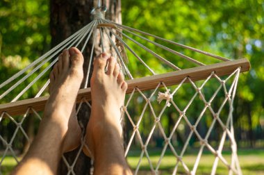 Bir adam bir hamakta oturur ve sonbahar ormanına hayran kalır.. 