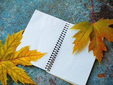 Not Defteriüzerine Sonbahar Yaprak Yaprak Peeper Listesi Kavramı. 