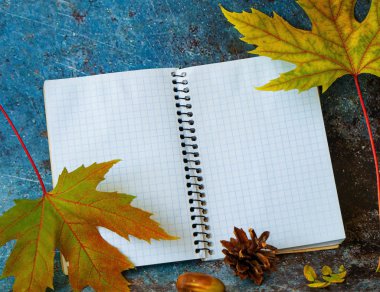 Not Defteriüzerine Sonbahar Yaprak Yaprak Peeper Listesi Kavramı. 