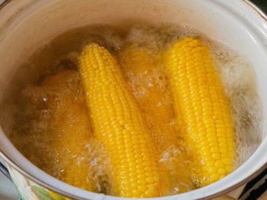 Büyük tencerede üzerinde birden çok haşlanmış mısır.