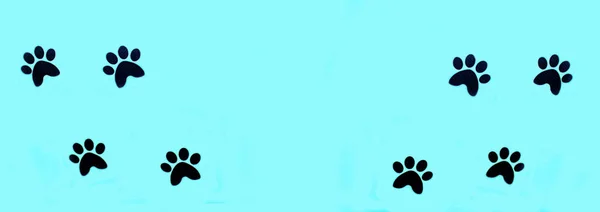 Kat Hond Paw Naadloze Patroon Dierlijke Voetafdruk Textuur — Stockfoto