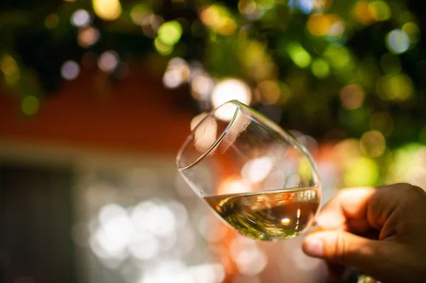 man holding a glass of wine on the vines during harvest.