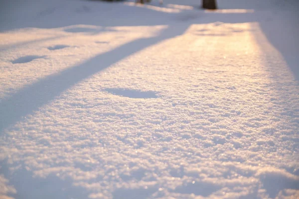Abstraktní Sněhovou Texturu Přírodní Pozadí Západ Slunce Zimě — Stock fotografie