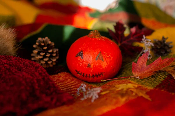 Halloween pumpkin in the mystical house window .