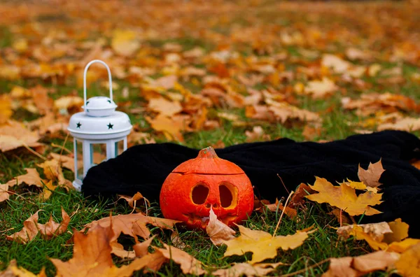 秋の公園で面白いハロウィンカボチャの葉 — ストック写真