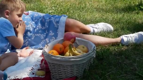 公園でリラックスした幸せな家族ピクニックでかわいい男の子と赤ちゃんを期待している両親 — ストック動画