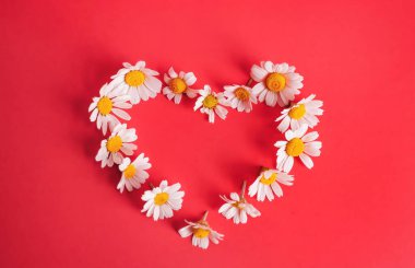 Kopyalama Boşluğu Olan Ayrı Renkli Daisy Arkaplanı.