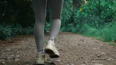 Ormanda Sonbahar Gezintisi: Sırt çantalı bir kadın Yolda Yürüyor