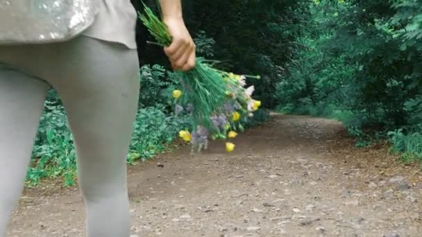 Jesienny Spacer Lesie Kobieta Plecakiem Walking Road Trail — Wideo stockowe