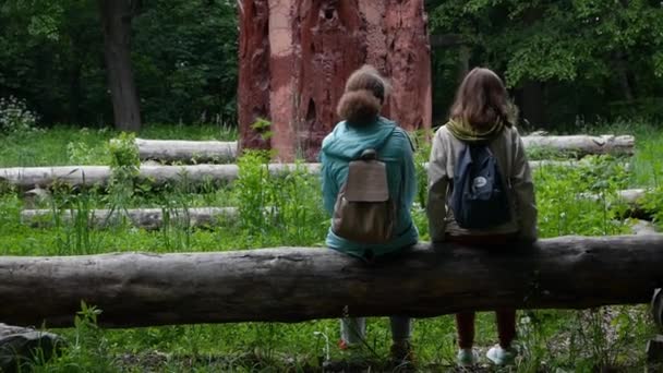 在森林里 背着背包坐在中间休息的少女 — 图库视频影像
