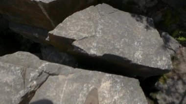 Doğada Kayalıklarda Yürüyen Çocuk eğleniyor. Yaz Macerası Konsepti