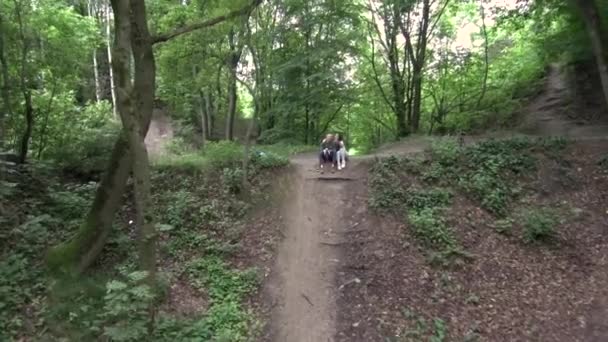 Couple Race Mixte Détendant Forêt — Video