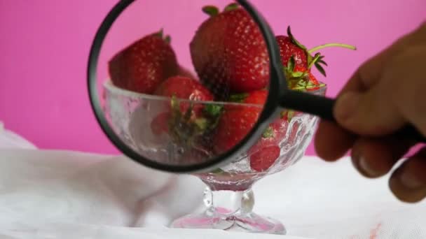 Hand Van Bioloog Onderzoek Aardbeienfruit Met Vergrootglas Close — Stockvideo