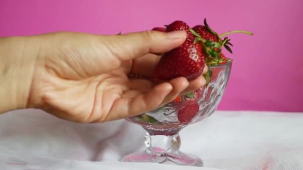 Hand Van Bioloog Onderzoek Aardbeienfruit Met Vergrootglas Close — Stockvideo