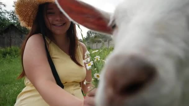 Adorável Jovem Mulher Sorrindo Beijando Bonito Branco Cabra Criança — Vídeo de Stock