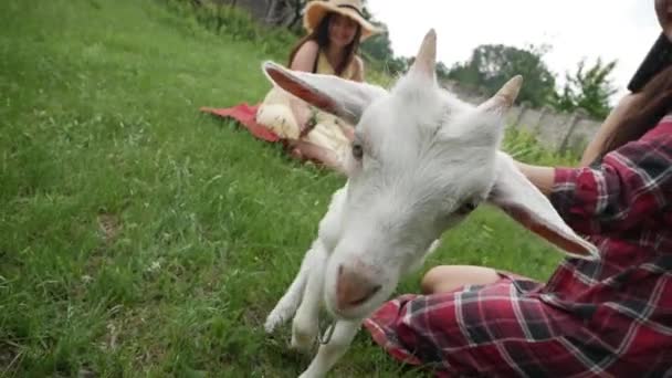 可爱的年轻女子笑着亲吻可爱的白山羊宝宝 — 图库视频影像