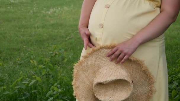 Zwangere Vrouw Staat Een Park Naast Een Boom Zomer — Stockvideo