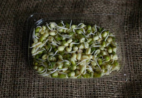 Brotes Alfalfa Fresca Para Ensalada — Foto de Stock