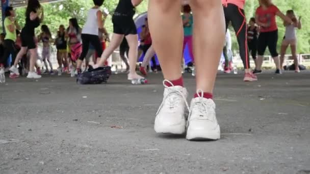 Kelompok Orang Kebanyakan Wanita Menari Zumba Dancing Park — Stok Video