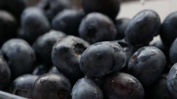 Blueberries Organik Fresh Ripe Close — Stok Video