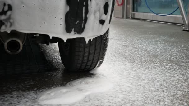 Foamy Liquid Dropping Auto Hood Man Percikan Kendaraan Dengan Air — Stok Video