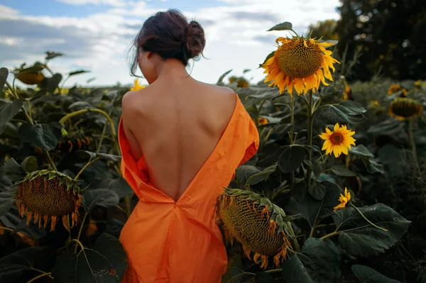 Giovane Bella Donna Abito Sera Campo Girasoli Stand Back Vista — Foto Stock