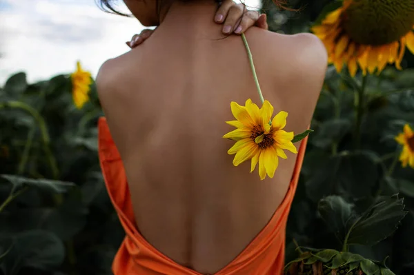 健康な背中と花のフィールドで健康肌を持つ美しいセクシーな女性 — ストック写真