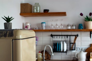 Basit Beyaz Mutfağa Bitki