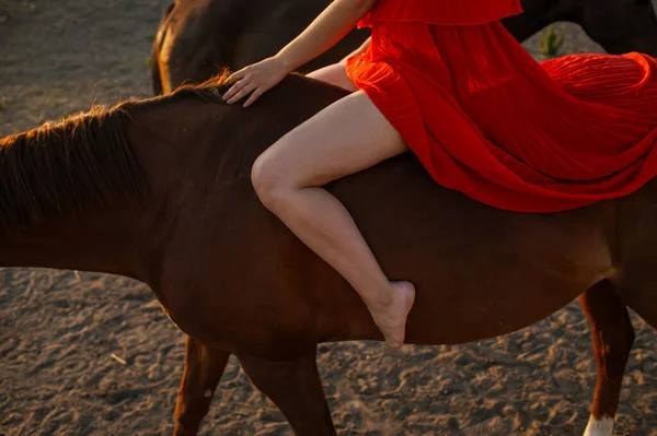 一个穿着红色晚礼服的漂亮女人骑在马上 — 图库照片