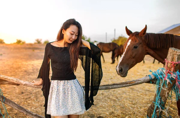 日落时分 亚洲女人牵着马在农场附近摆姿势 — 图库照片