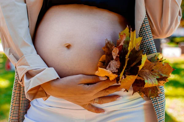 Una Mujer Embarazada Sosteniendo Ramo Hojas Amarillas Bosque Otoño —  Fotos de Stock