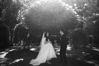 Gelin ve damat parkta kucaklaşıyor, siyah ve beyaz fotoğraf. 