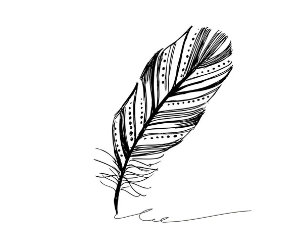 Hand drawn feathers on white background