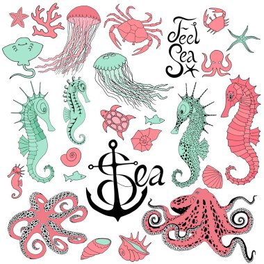 Denizatı denizanası, ahtapot, yengeç ve diğer