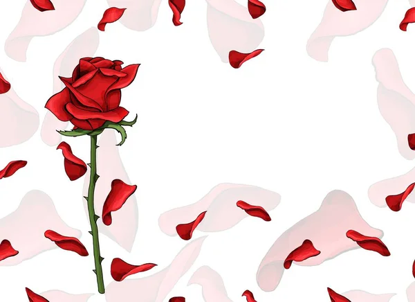 Valentin nap szeretet képeslap egyetlen vörös rózsa virág és puha szirmok sablon — Stock Vector
