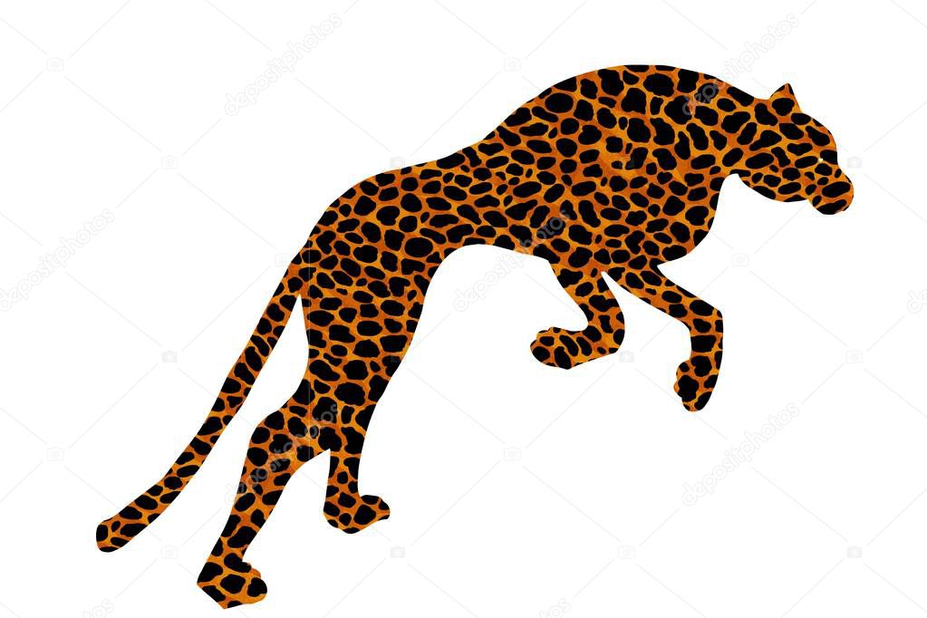 cheetah leopard jaguar panther puma