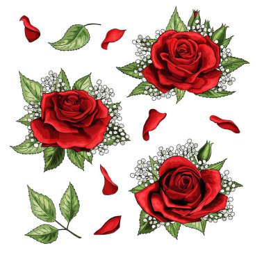 Kırmızı gül çizilmiş çizim öğeleri kümesi renkli el